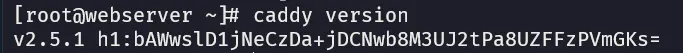Caddy Version Output