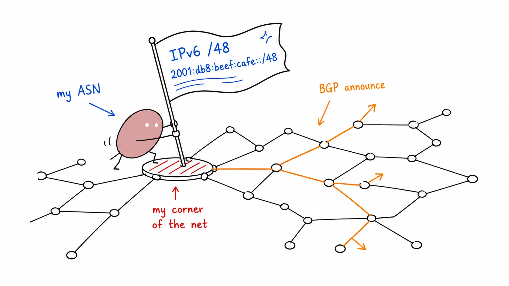 Tomochi planting an ASN flag on the internet map and announcing an IPv6 route