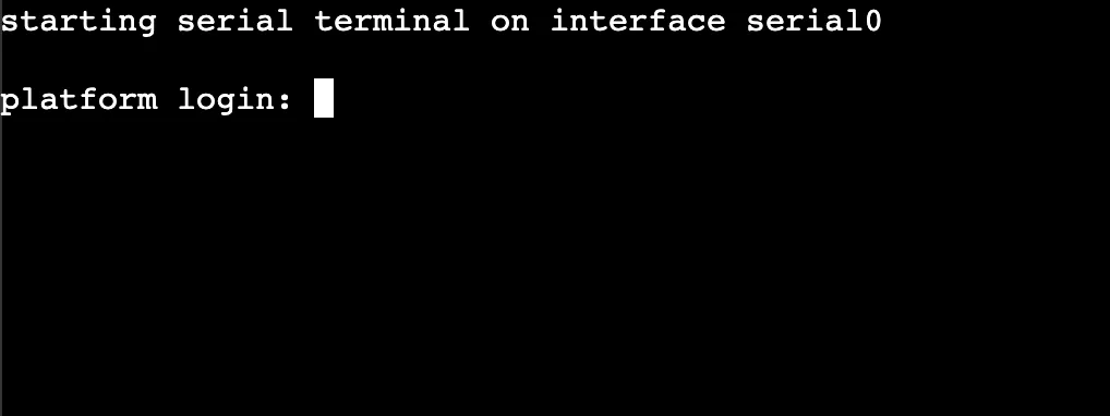 xTerm.js login